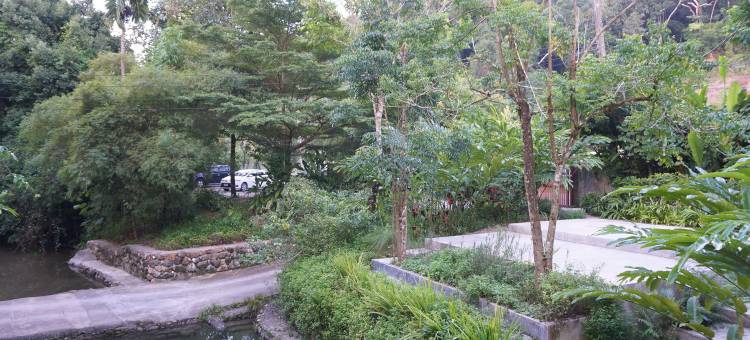 班奈蒙树屋(Bannaimong Treehouse)图片