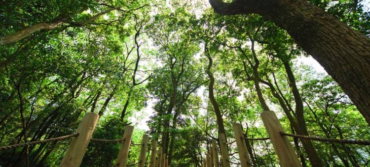 丽多森林度假酒店图片