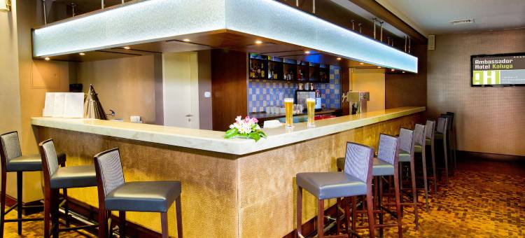卡卢加大使酒店(Ambassador Hotel Kaluga)图片