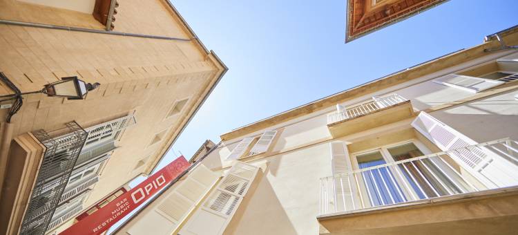 帕尔马普罗酒店(Puro Hotel Oasis Urbano)图片