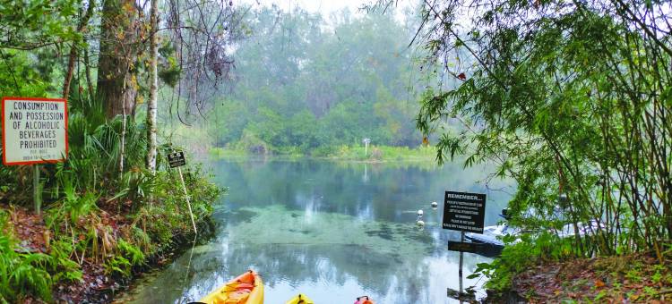 智选假日套房酒店春山(Holiday Inn Express & Suites Spring Hill)图片