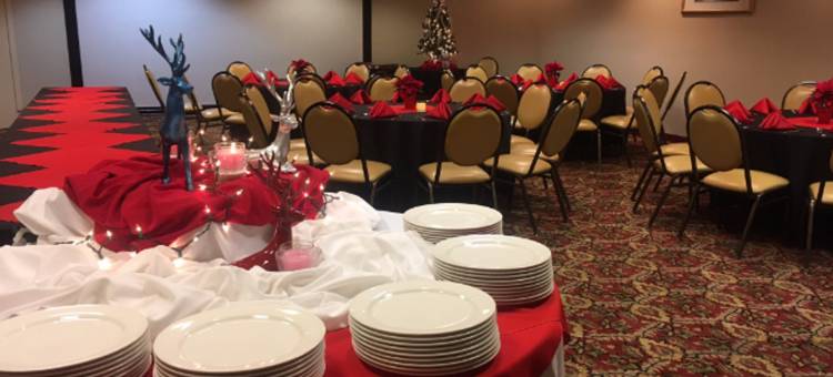 索尔万假日旅馆(Vinland Hotel and Lounge)图片