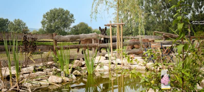 维斯穆赫酒店(Weiße Mühle)图片