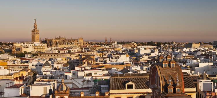 科隆盛美利亚酒店(Hotel Colón Gran Meliá - the Leading Hotels of the World)图片