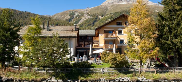 凯萨罗萨兹酒店 - 食物之家(Hotel Chesa Rosatsch - Home of Food)图片