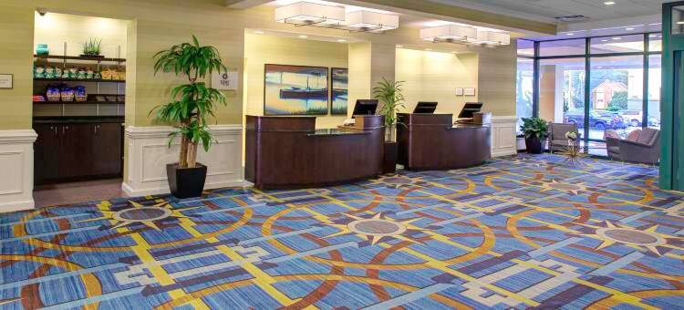 维吉尼亚海滩海滨喜来登酒店(Sheraton Virginia Beach Oceanfront Hotel)图片