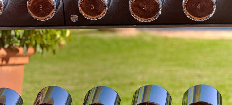 马略卡阿拉贝拉喜来登高尔夫酒店(Sheraton Mallorca Arabella Golf Hotel)图片