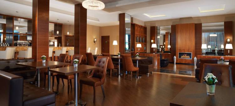 莫斯科谢列梅捷沃机场喜来登酒店(Sheraton Skypoint Luxe)图片