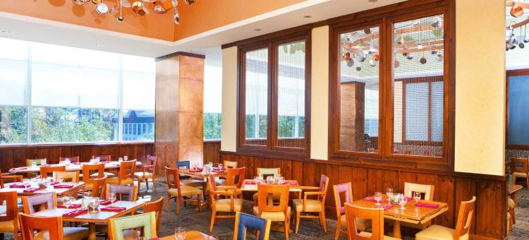 默特尔比奇喜来登酒店(Sheraton Myrtle Beach)图片