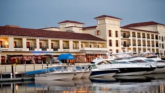 豪華