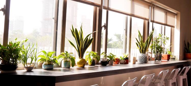 台中竹林雅致商务汽车旅馆图片