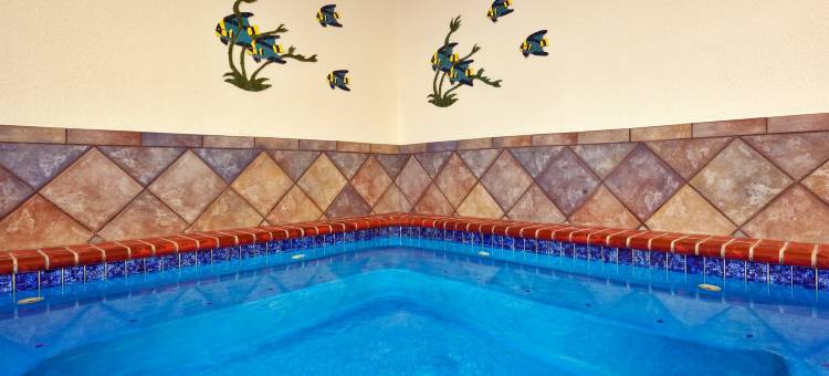 舒适酒店及套房(Comfort Inn & Suites)图片