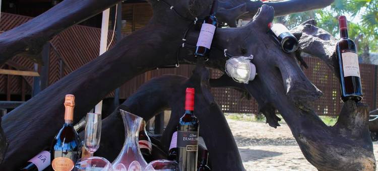 Paridiseos Resort Barra do Dande图片