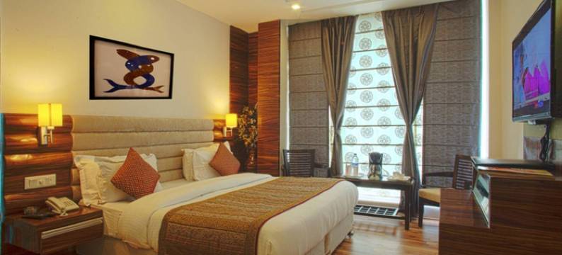 新德里火车站德里55号酒店(Hotel Delhi 55 -City Center)图片