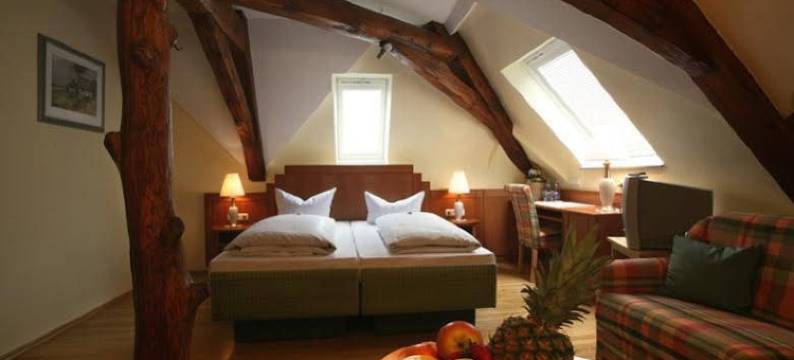 高登阿德尔酒店(Goldener Adler)图片