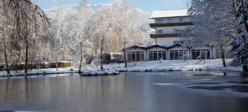 赫斯臣酒店(Hotel Zum Hirschen)图片