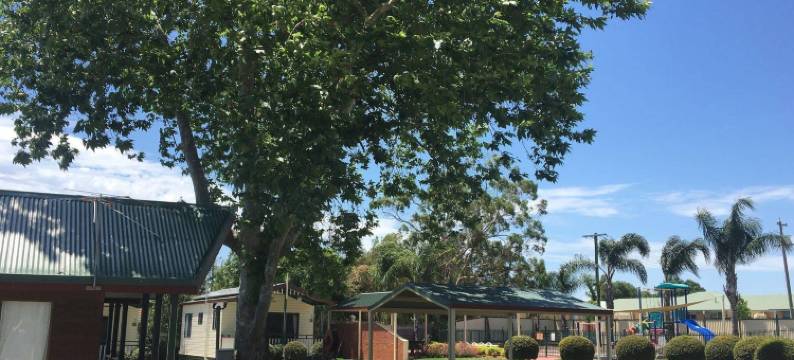 奥尔伯里假日公园(Albury Holiday Park)图片