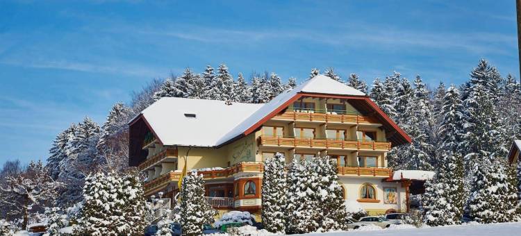 黑森林酒店(Silberkönig Schwarzwald Hotel & Restaurant Ringhotel)图片