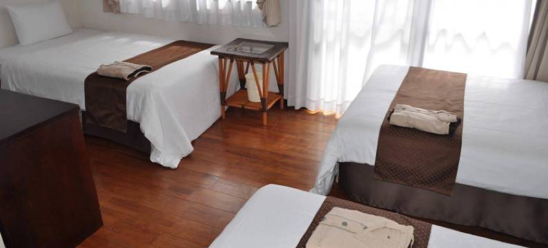 石垣岛帕提娜酒店(Hotel Patina Ishigakijima)图片