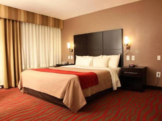 Comfort Inn Los Angeles Near Hollywood Hotel Reviews And Room Rates
