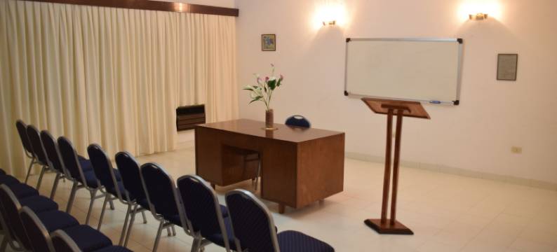 帕尔马斯德索尔酒店(Hotel Palmas del Sol)图片