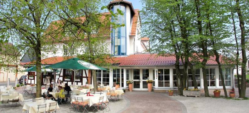 梦曾博格城堡酒店(Burghotel Münzenberg)图片