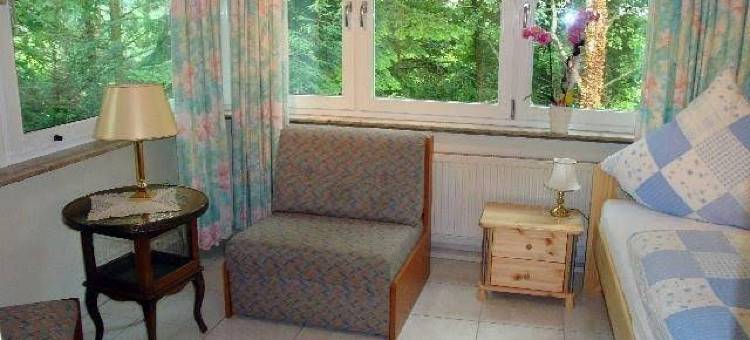 霍特勒瑞瓦尔德如酒店(Hotellerie Waldesruh)图片