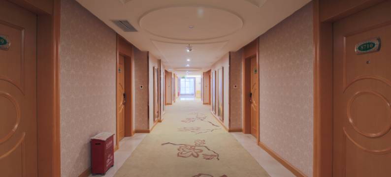 维也纳酒店(东莞大朗店)图片