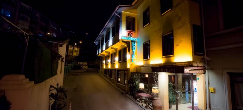 布伊泽尔特莫酒店(Boyuguzel Termal Hotel)图片