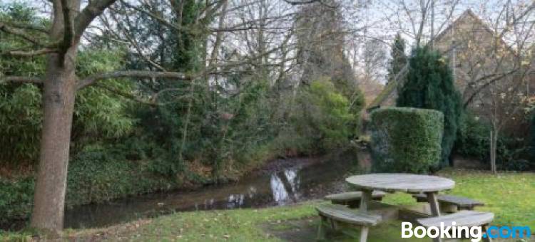 Stepping Stones图片