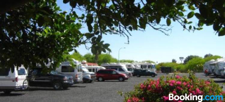 Hotel Las Palmas Midway Inn图片