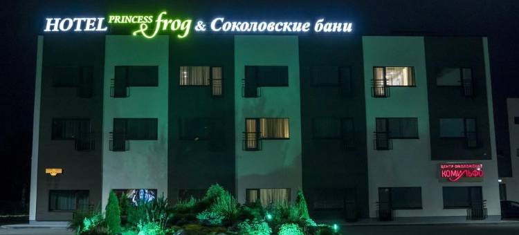 公主青蛙酒店(Princess Frog Hotel)图片
