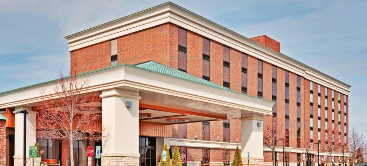 洲际酒店集团旗下芝加哥西南康提赛德假日酒店会议中心(Holiday Inn Chicago SW-Countryside Confctr)图片