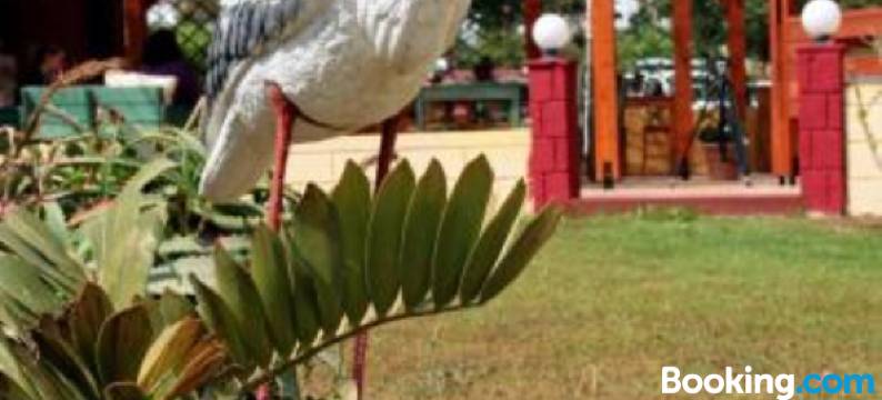 科斯岛公寓(Kos Island Studios)图片