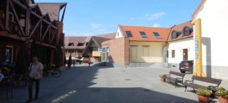 卡尔文文德格索巴克酒店(Kálvin Vendégszobák)图片