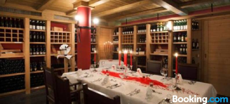 伽纳弗斯豪斯酒店(Hotel Forsthaus Grüna Betreibergesellschaft Mbh)图片