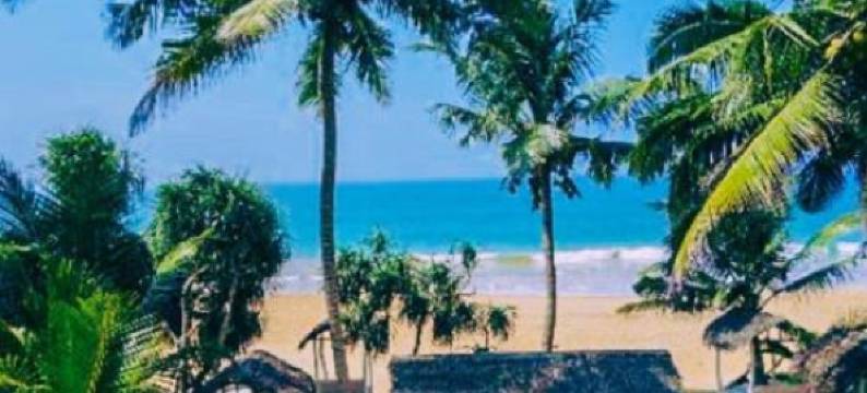 茉莉花园海滩旅馆(Jasmine Garden Beach Guest House)图片