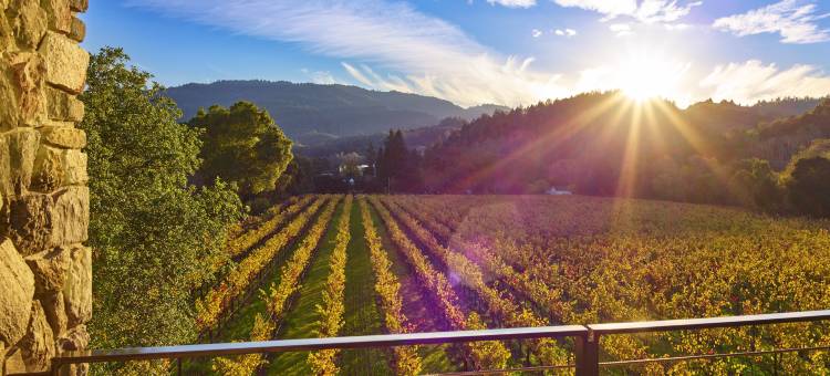 纳帕谷阿丽拉酒店(Alila Napa Valley)图片