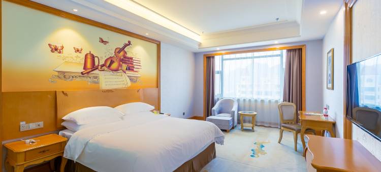 维也纳国际酒店(大新德天广场店)图片