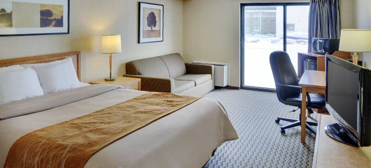 舒适酒店(Comfort Inn)图片