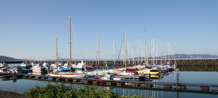 舒适酒店(Comfort Inn)图片