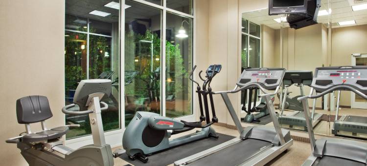 Holiday Inn 格威内特中心(Holiday Inn Atlanta-Gas South Arena Area)图片