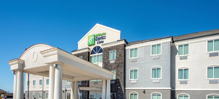莫纳汉斯I-20智选假日套房酒店(Holiday Inn Express & Suites Monahans I-20)图片