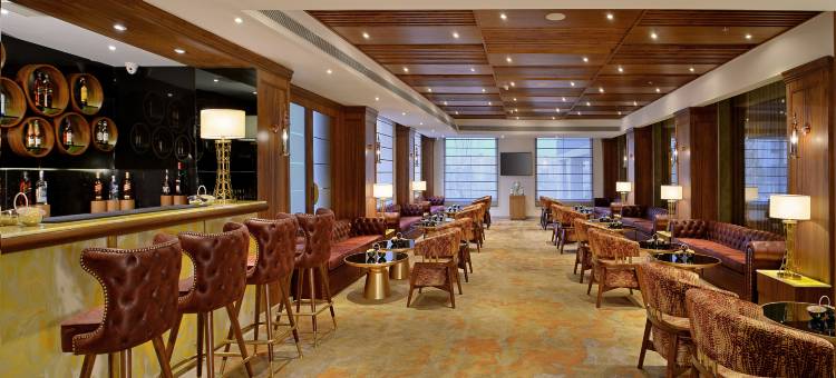 昌迪加尔齐拉克普尔丽笙酒店(Radisson Chandigarh Zirakpur)图片