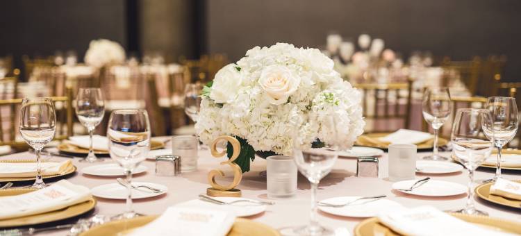 奥斯汀W酒店(W Austin)图片