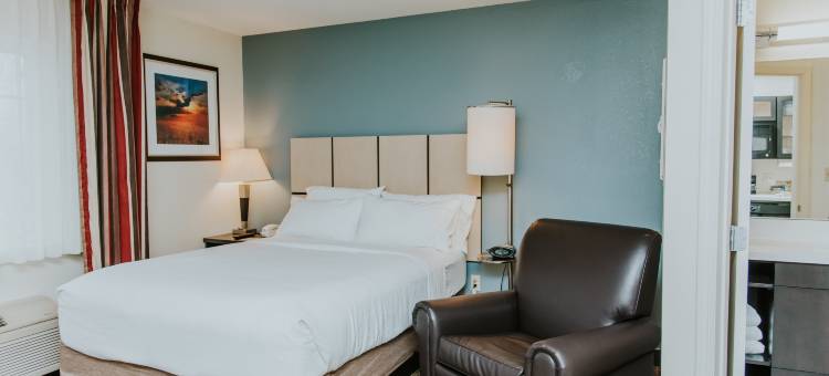 明尼阿波利斯-里奇菲尔德索尼斯塔简单套房酒店(Sonesta Simply Suites Minneapolis Richfield)图片