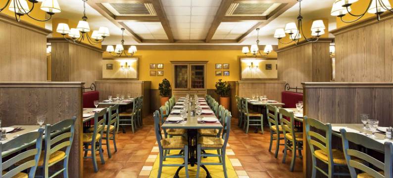 艾瑞斯圣彼得堡市中心酒店(Hotel Iris Saint-Peterburg Center)图片