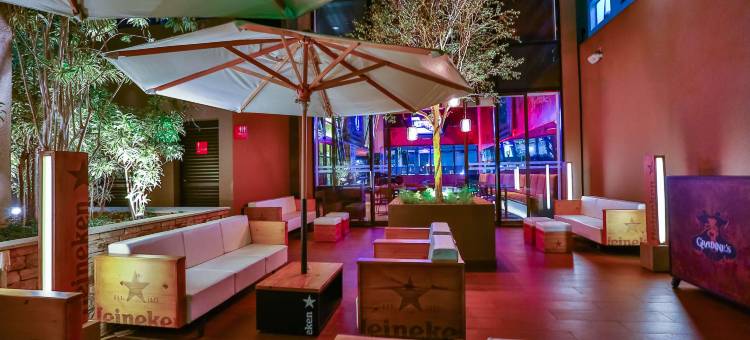 坎皮纳斯丽笙红光酒店(Radisson Red Campinas)图片