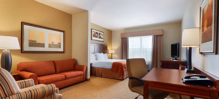 特克萨卡纳丽怡酒店(Country Inn & Suites by Radisson, Texarkana, TX)图片