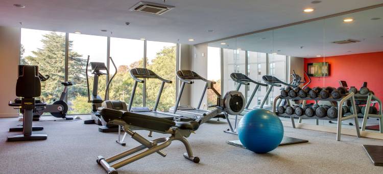 衫腾公园旅馆(Park Inn Sandton)图片